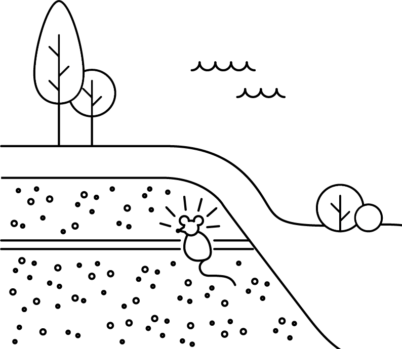 sistema antiroditore